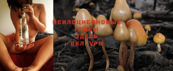 гидра Осинники