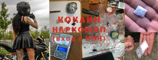 гидра Осинники