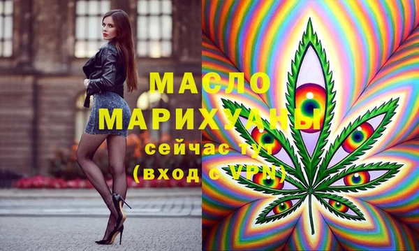 гидра Осинники