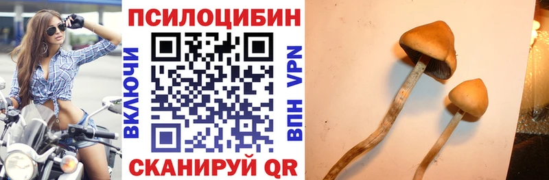 Галлюциногенные грибы Cubensis  мега сайт  Сосновоборск  нарко площадка как зайти  даркнет сайт 